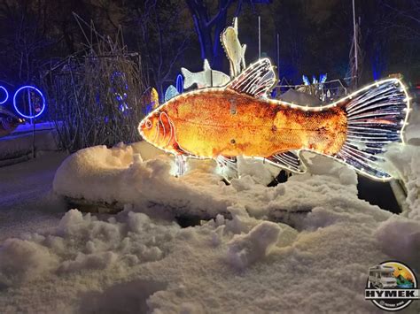  Ogrod Botaniczny W Fuzhou - Zaczarowany Świat Różnorodności Roślinnej i Magicznych Fontann!