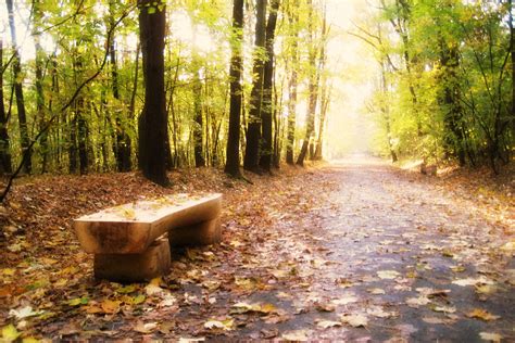 Park Linqu - Oaza zieleni z nutą historii!